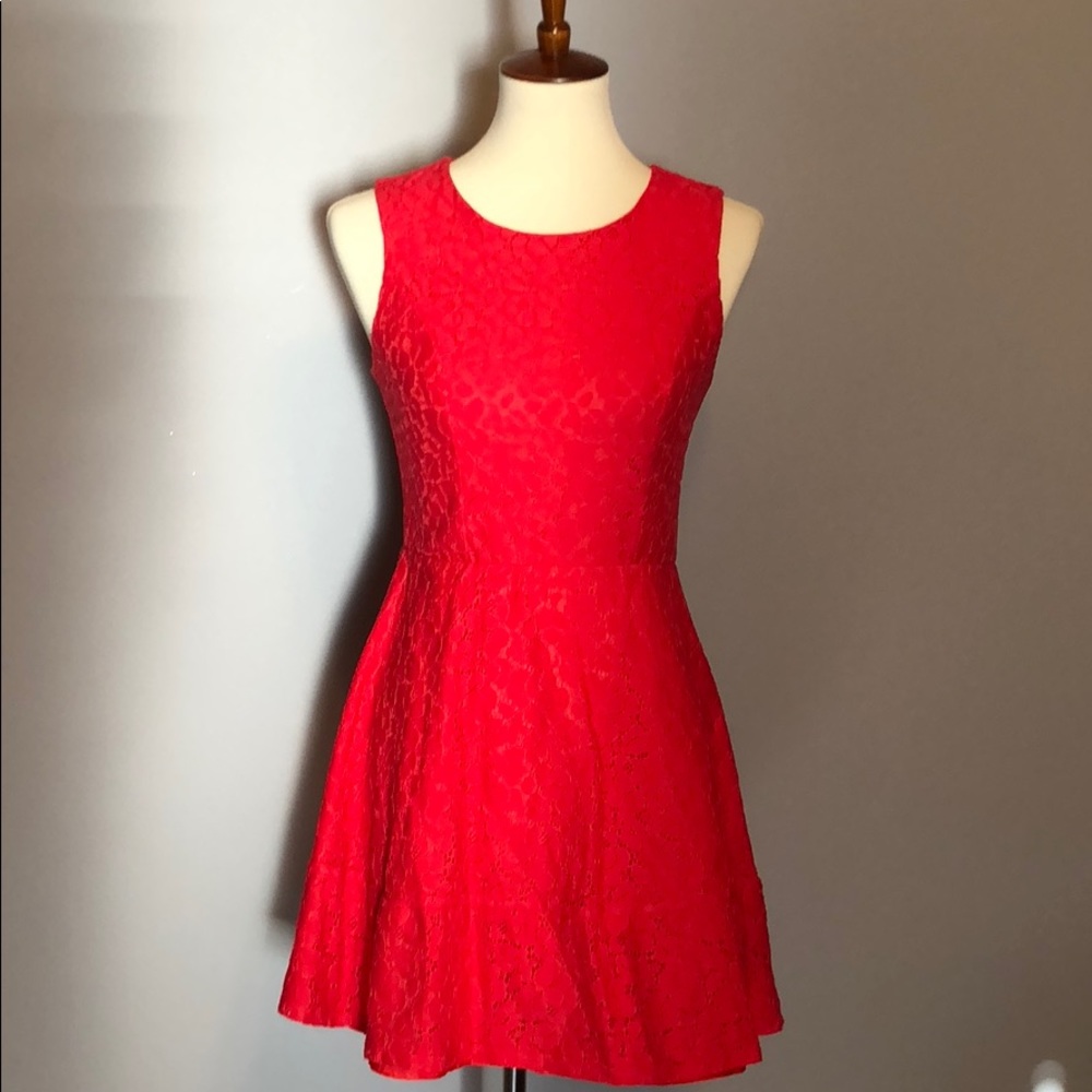 Lace Coral Fit & Flare Skater Dress